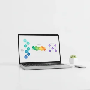 Micro Loan Origination Setup